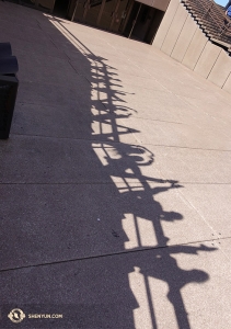 The dancers create beautiful silhouettes in the Sydney sunshine. (Photo by projectionist Annie Li)
